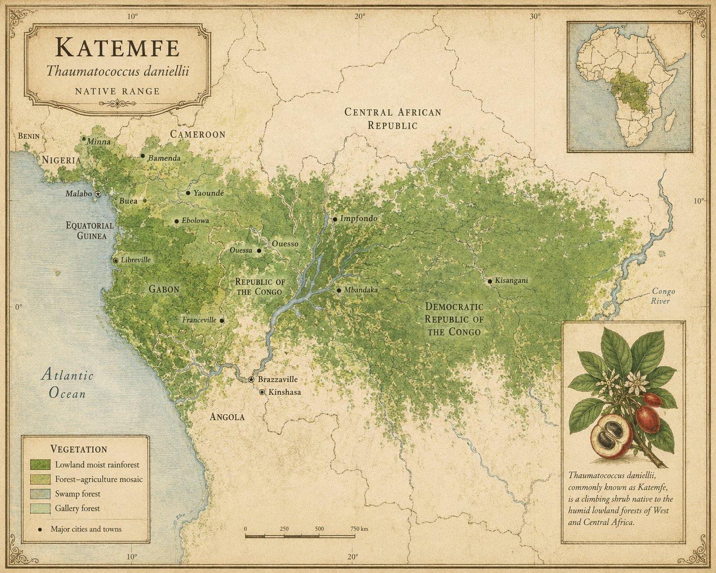 Map of Katemfe native range — Thaumatococcus daniellii distribution across West and Central Africa